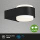 Briloner 3035-015 - LED Venkovní nástěnné svítidlo HANAU LED/6,5W/230V IP44 černá