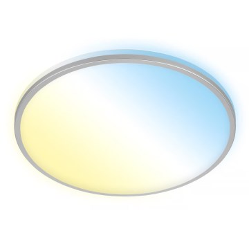 Briloner 3064-014 - LED Stmívatelné stropní svítidlo IVY LED/24W/230V Wi-Fi Tuya pr. 33,3 cm + dálkové ovládání