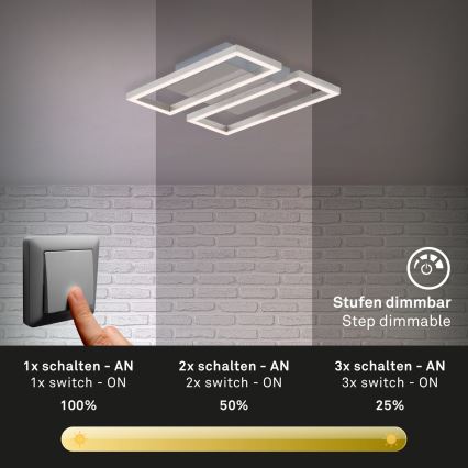 Briloner 3107-012 - LED Stmívatelné stropní svítidlo FRAME 2xLED/7,25W/230V