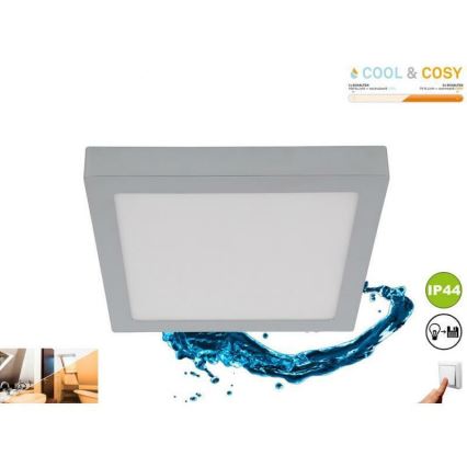Briloner 3142-018 - LED Koupelnové stropní svítidlo COOL&COSY LED/21W/230V 2700/4000K IP44