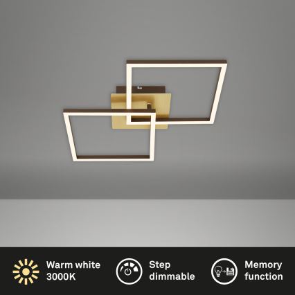 Briloner 3210-017 - LED Stmívatelné stropní svítidlo FRAME 2xLED/11W/230V zlatá