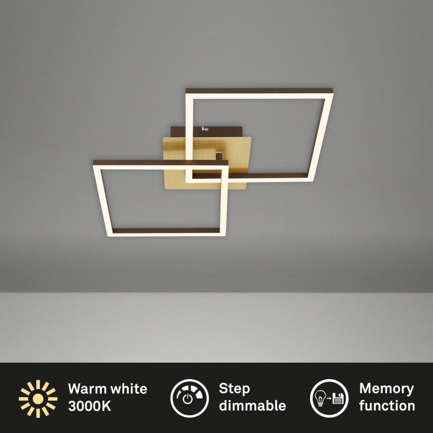 Briloner 3210-017 - LED Stmívatelné stropní svítidlo FRAME 2xLED/11W/230V zlatá