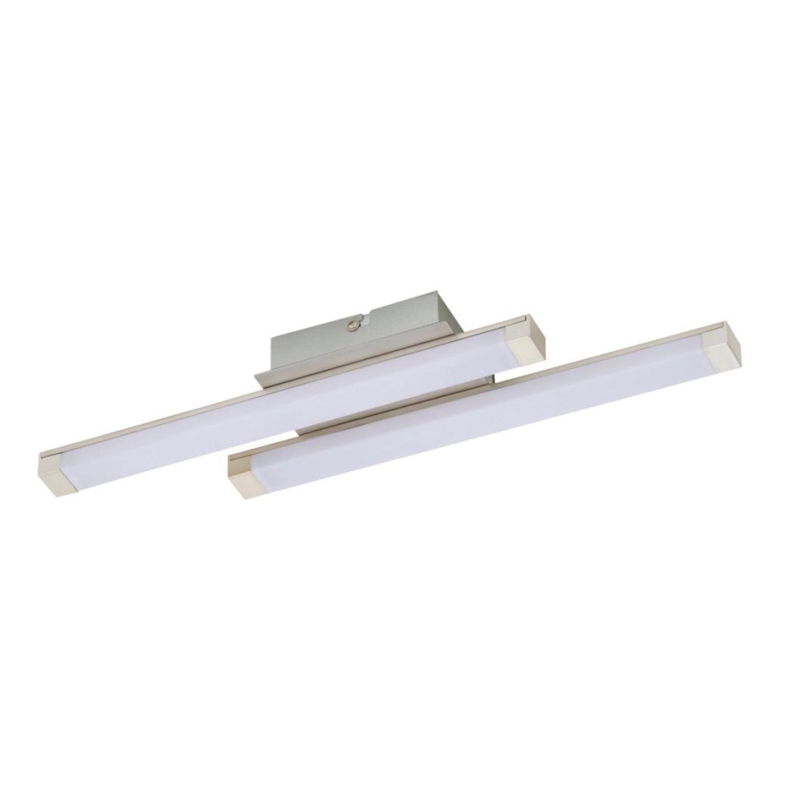 Briloner 3246-022 - LED Stropní svítidlo ESILE 2xLED/5W/230V