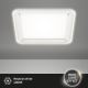 Briloner 3397-016 - LED Stropní svítidlo FREE LED/22W/230V