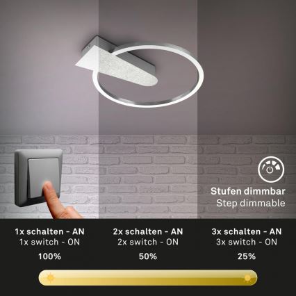 Briloner 3542-018 - LED Stmívatelné stropní svítidlo NICO LED/12W/230V matný chrom