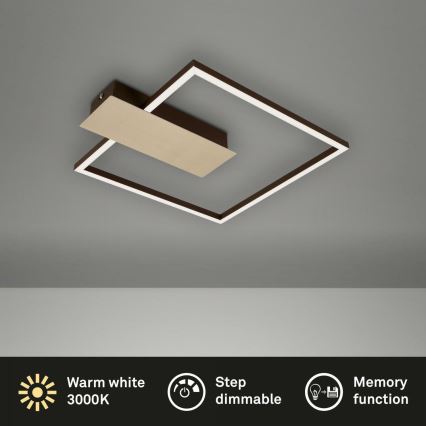 Briloner 3544-017 - LED Stmívatelné stropní svítidlo NICO LED/12W/230V zlatá