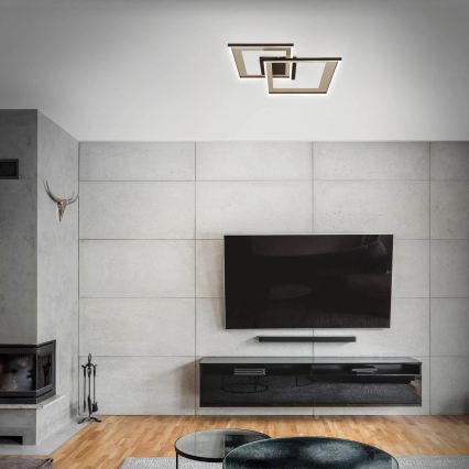 Briloner 3567-017 - LED Stmívatelné stropní svítidlo LED/25W/230V 3000-6500K 56,8x48cm + dálkové ovládání