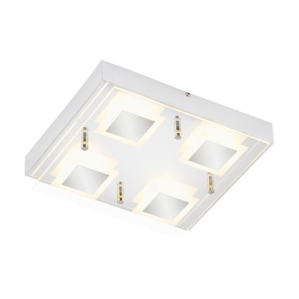 Briloner 3623-048 - LED Stropní svítidlo AGILED LED/5W/230V
