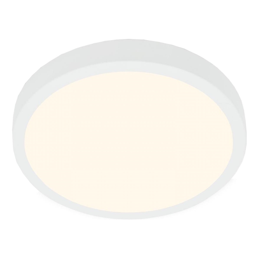 Briloner 3703-016 - LED Stropní svítidlo RUNA LED/24W/230V 3000K pr. 38 cm bílá