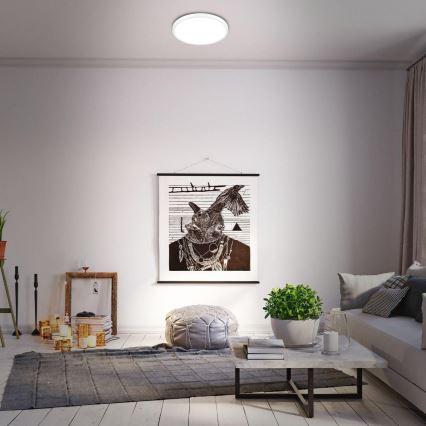 Briloner 3709-016 - LED RGBW Stmívatelné stropní svítidlo LED/22W/230V 4000K pr. 38 cm bílá + dálkové ovládání