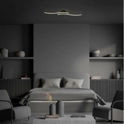 Briloner 3718-025 - LED Přisazený lustr REY 2xLED/6W/230V černá