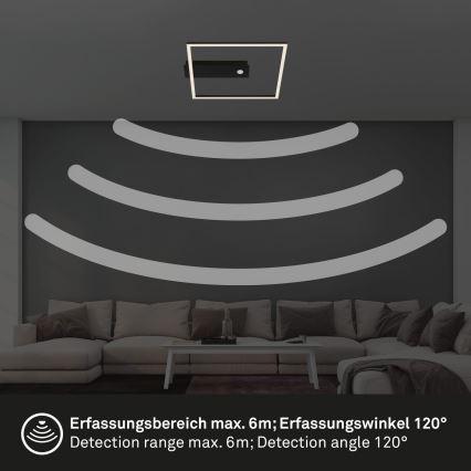 Briloner 3770-015 - LED Stropní svítidlo se senzorem pohybu a soumraku FRAME LED/14W/230V 3000K 30x32 cm černá