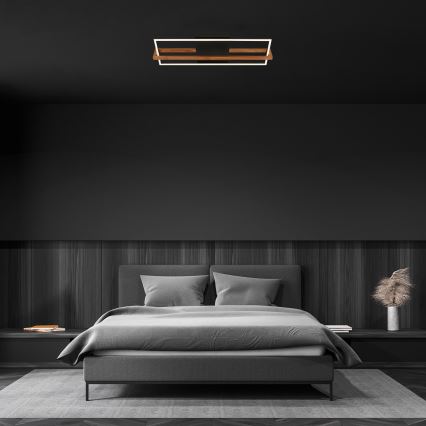 Briloner 3777-015 - LED Stropní svítidlo FRAME LED/21W/230V 3000K