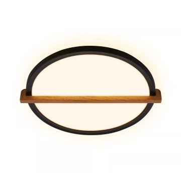 Briloner 3844015 - LED Stropní svítidlo LED/18W/230V pr. 31,5 cm