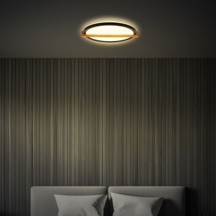 Briloner 3844015 - LED Stropní svítidlo LED/18W/230V pr. 31,5 cm