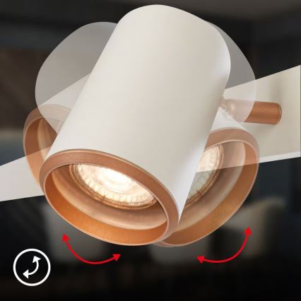 Briloner 4058044 - Lustr na lanku ERA 4xGU10/10W/230V krémová