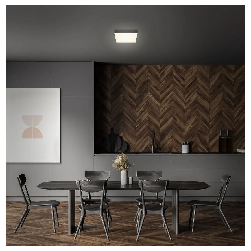 Briloner 7070-015 - LED Stropní svítidlo FLAME LED/16W/230V černá