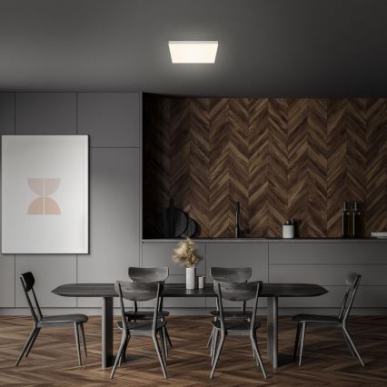 Briloner 7071-014 - LED Stropní svítidlo FLAME LED/21W/230V 3000K 28,7x28,7 cm stříbrná