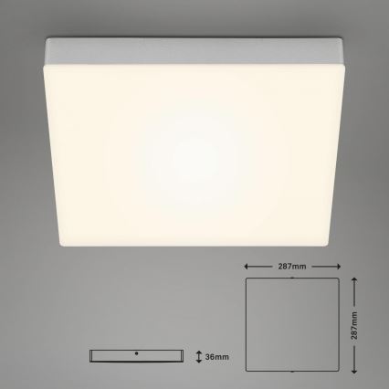 Briloner 7071-014 - LED Stropní svítidlo FLAME LED/21W/230V 3000K 28,7x28,7 cm stříbrná