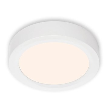 Briloner 7122-016 - LED Stropní svítidlo FIRE LED/12W/230V 3000K