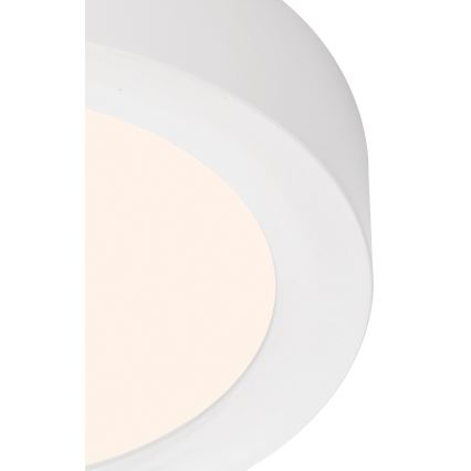 Briloner 7122-016 - LED Stropní svítidlo FIRE LED/12W/230V 3000K