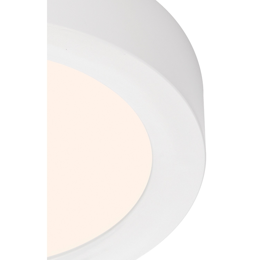 Briloner 7122-016 - LED Stropní svítidlo FIRE LED/12W/230V 3000K