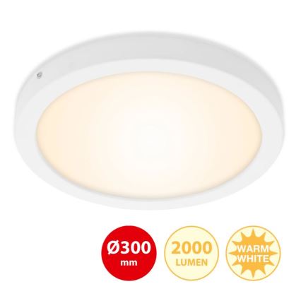 Briloner 7141-016 - LED Stropní svítidlo FIRE LED/21W/230V