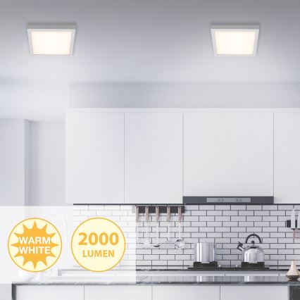 Briloner 7142-014 - LED Stropní svítidlo FIRE LED/21W/230V 3000K