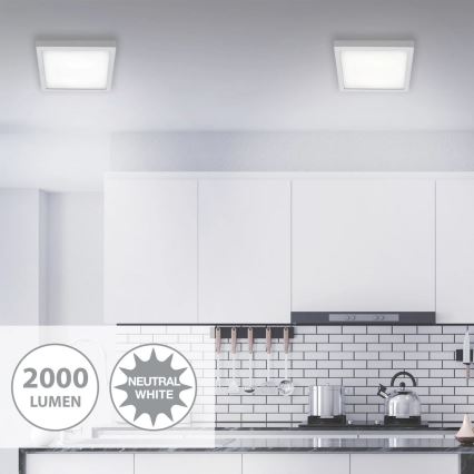 Briloner 7142-414 - LED Stropní svítidlo FIRE LED/21W/230V 4000K