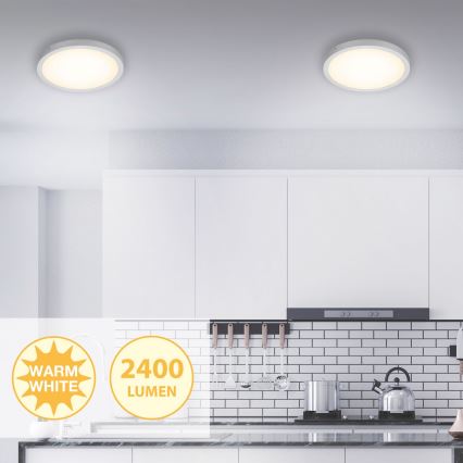 Briloner 7143-014 - LED Stropní svítidlo FIRE LED/24,5W/230V 3000K