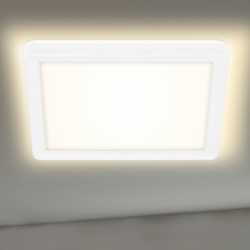 Briloner 7153-416 - LED Stropní svítidlo SLIM LED/12W/230V