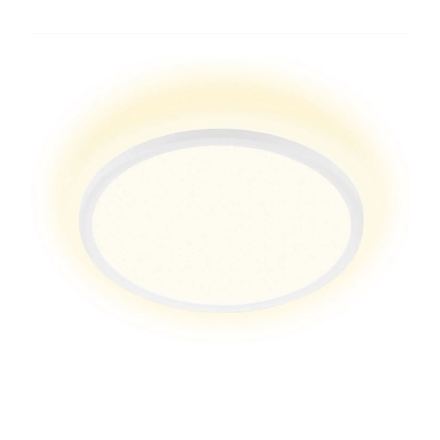 Briloner 7155-416 - LED Stropní svítidlo SLIM LED/18W/230V
