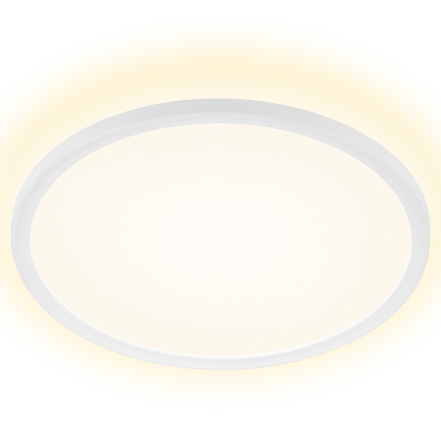 Briloner 7157-416 - LED Stropní svítidlo SLIM LED/22W/230V pr. 42 cm