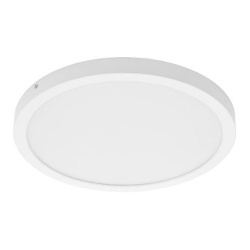 Briloner 7163-016 - LED Stropní svítidlo LED/24,5W/230V 2700K-4000K