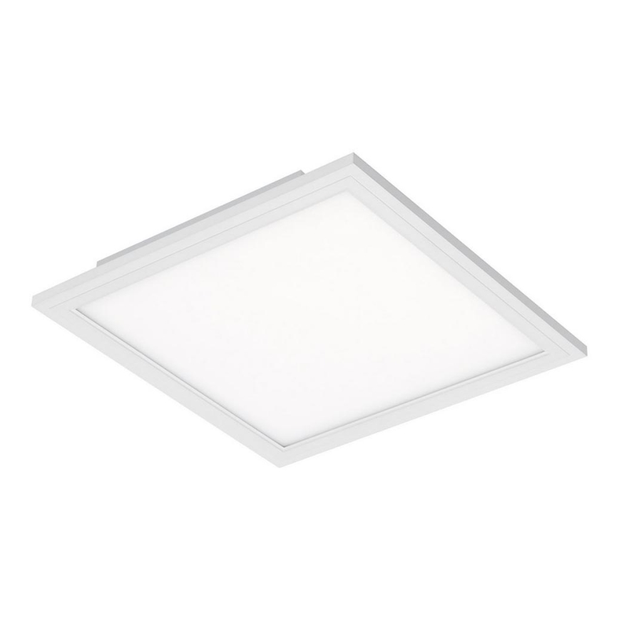 Briloner 7191-016 - LED Stropní svítidlo SIMPLE LED/12W/230V