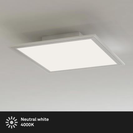 Briloner 7191-016 - LED Stropní svítidlo SIMPLE LED/12W/230V