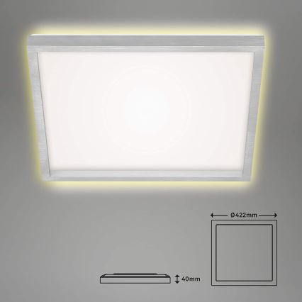 Briloner 7364-019 - LED Stropní svítidlo CADRE LED/22W/230V 42,2x42,2 cm