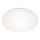 Briloner 7377-016 - LED Stmívatelné stropní svítidlo LED/12W/230V 3000-6500K + dálkové ovládání