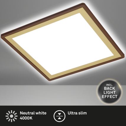 Briloner 7457-417 - LED Stropní svítidlo DECO LED/18W/230V