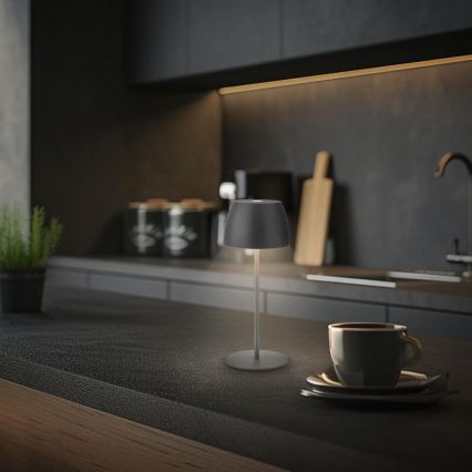Briloner - LED Stmívatelná nabíjecí dotyková venkovní stolní lampa MINI LED/2,5W/5V IP44 1800 mAh antracit