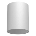 Brosline - Bodové svítidlo 1xGU10/10W/230V bílá