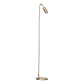 ByRydens - Stojací lampa CURVE 1xGU10/7W/230V zlatá
