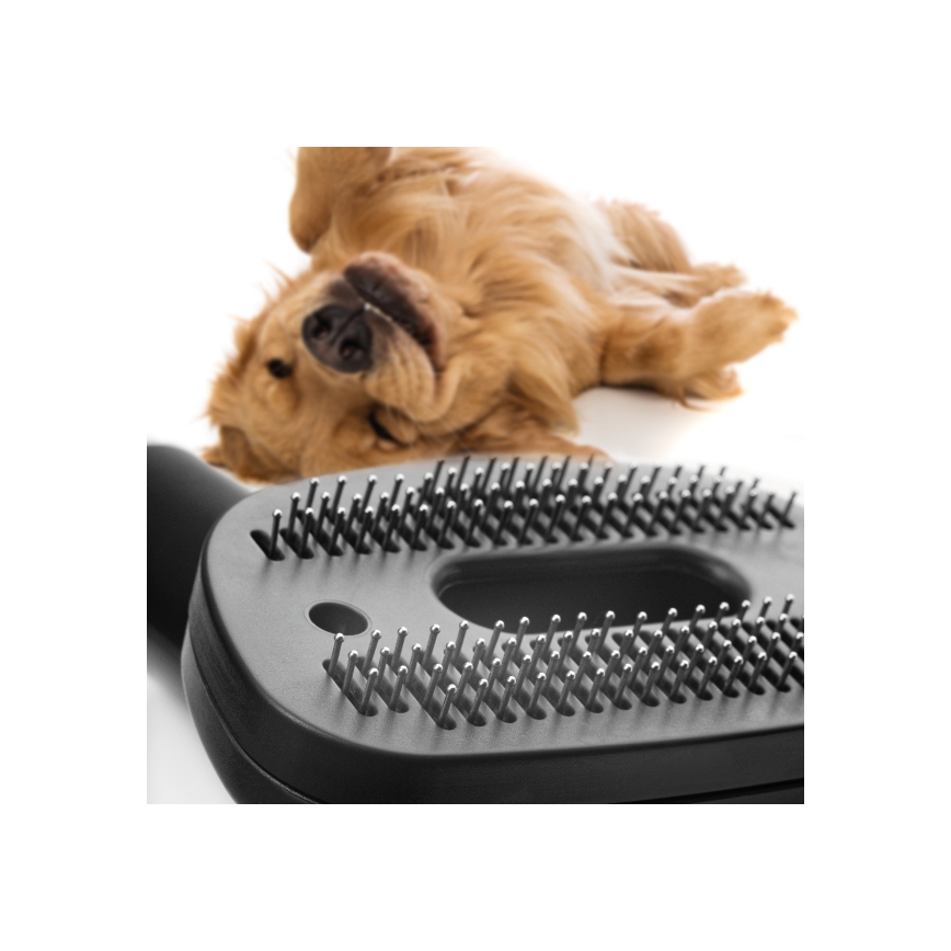 Concept VP5240N - Bezsáčkový vysavač 4A RADICAL PET EXPERT 2,5 l 800W/230V bronz
