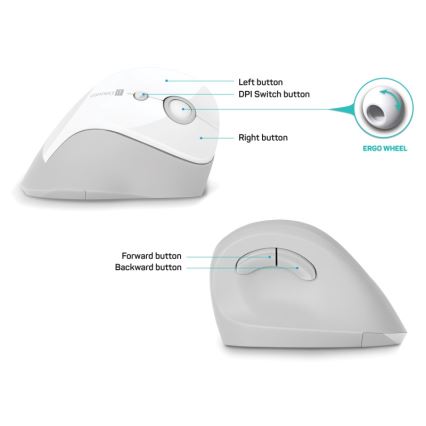 CONNECT IT CMO-2700-WH - Ergonomická bezdrátová myš 800/1200/1600 DPI 1xAA bílá