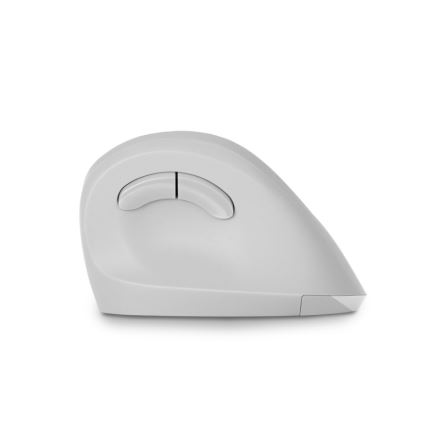CONNECT IT CMO-2700-WH - Ergonomická bezdrátová myš 800/1200/1600 DPI 1xAA bílá