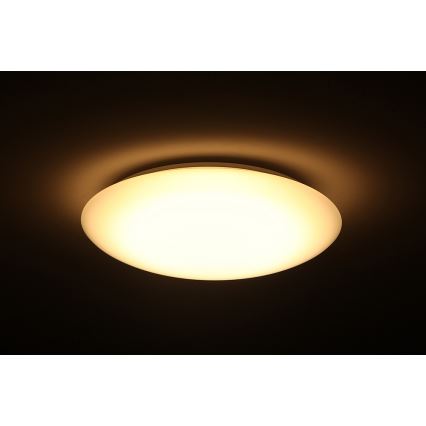 Dalen DL-C205T - LED Stmívatelné stropní svítidlo SMART LED LED/25W/230V