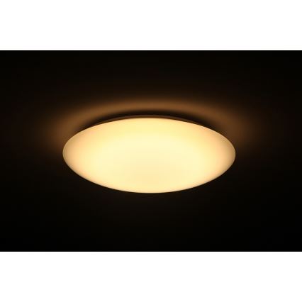 Dalen DL-C205T - LED Stmívatelné stropní svítidlo SMART LED LED/25W/230V