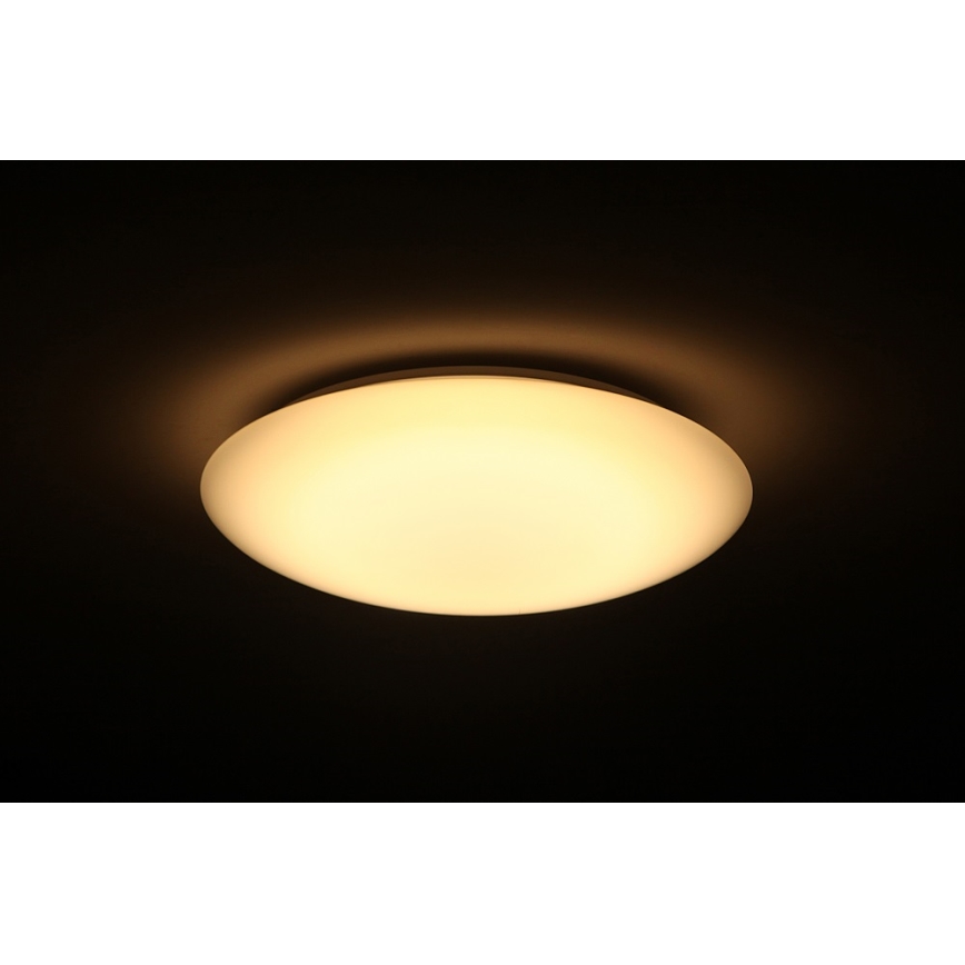 Dalen DL-C205T - LED Stmívatelné stropní svítidlo SMART LED LED/25W/230V