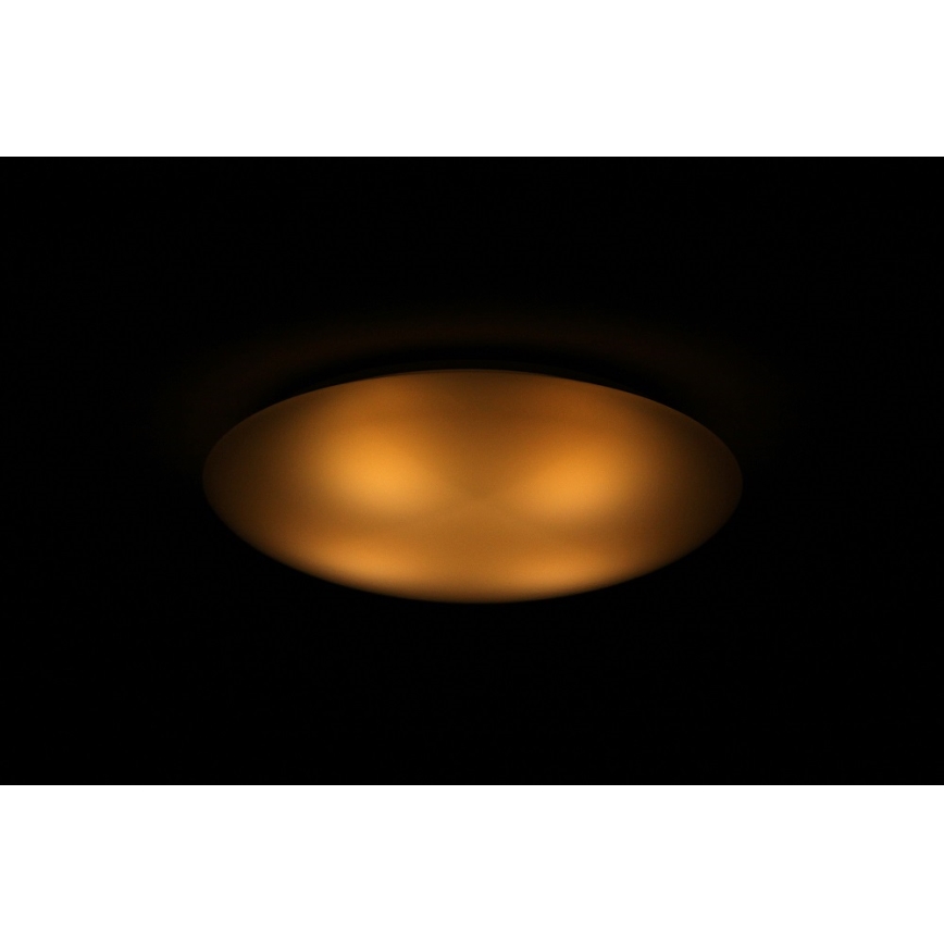 Dalen DL-C205T - LED Stmívatelné stropní svítidlo SMART LED LED/25W/230V