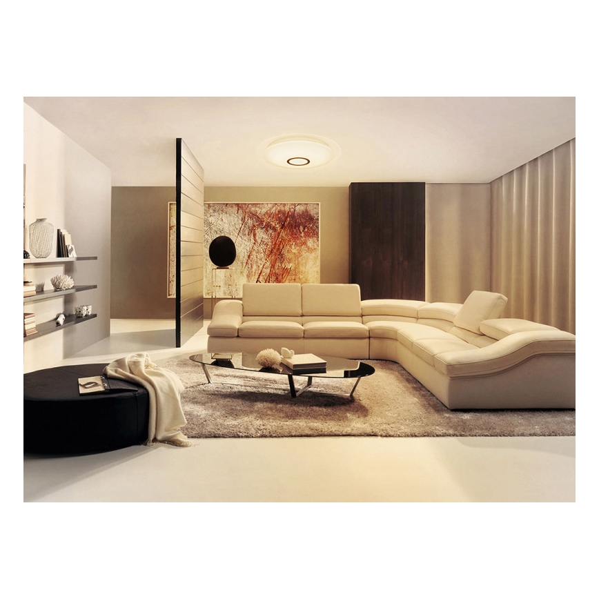 Dalen DL-C219TX - LED Stmívatelné stropní svítidlo LED/25W/230V